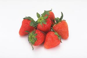 北海道産の新鮮な鮭が味わえる！おすすめのオンラインショップを徹底解説