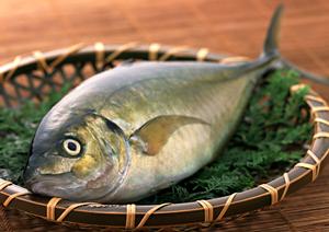 良質の業務用そば粉を販売する長野の会社