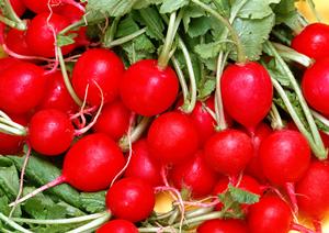 健康的な体重管理とストレス解消に効果的な断食期間のコツ